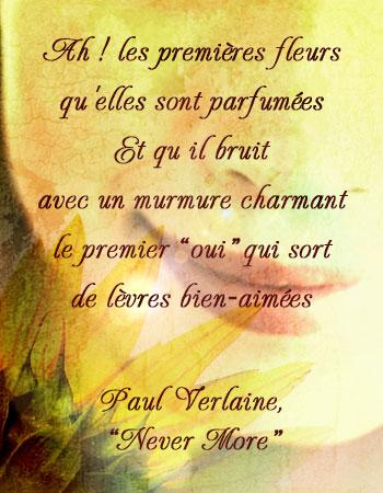 Verlaine rien a dire
